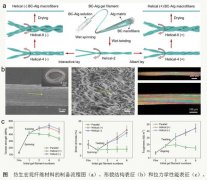 澳门银河赌场_澳门银河网址_澳门银河网站_ 科学家研制新型仿生增强增韧纳米